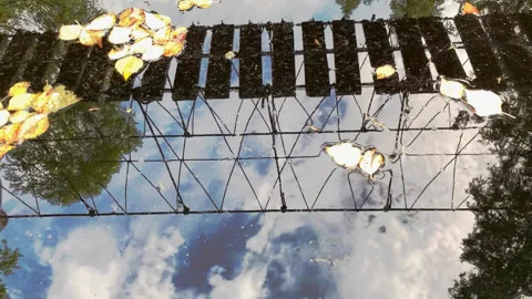 Reflection of the bridge in the water Stock Footage 224369170