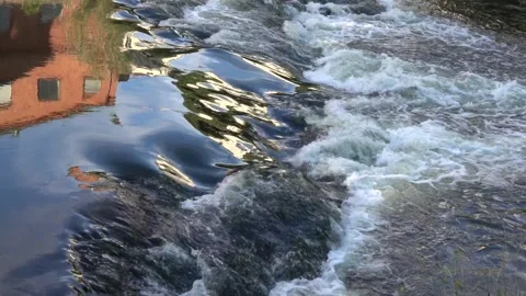 A reflection in a brook Stock Footage 269550396