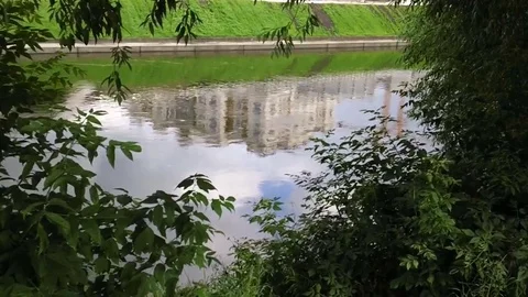 Reflection of a building in a river Video stock 78030528