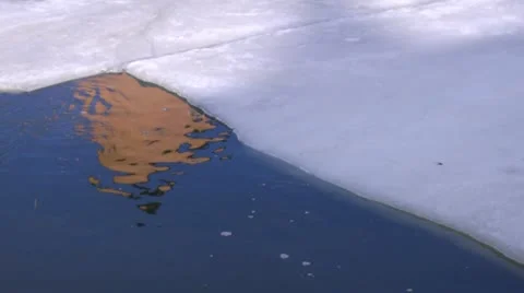 Reflection of building in a water Stock Footage 11332719