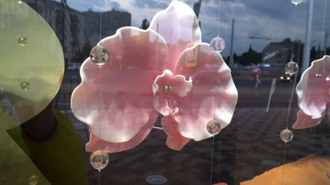 Reflection of buildings in a shop window with a beautiful decorative flower Stock Footage 76484341