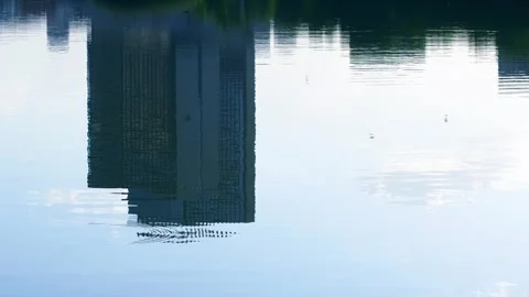 Reflection in the calm lake water Stock Footage 258111524