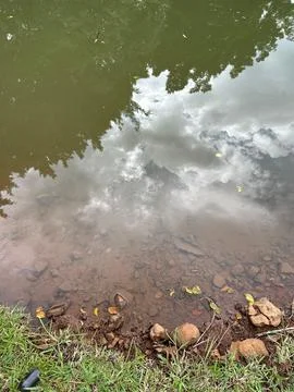 Reflection in Calm Waters Stock Photos