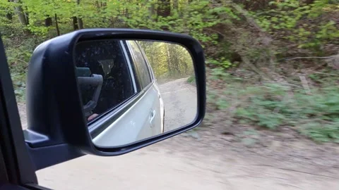 Reflection in car mirror drive by forest trail Stock Footage 154655227