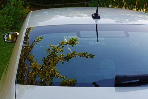 Reflection in the car window. Stock Photos