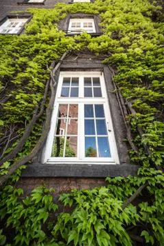 Reflection of castle in old window in krakow. Stock Photos