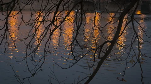 Reflection of city lights in the water. Stock Footage 138461598
