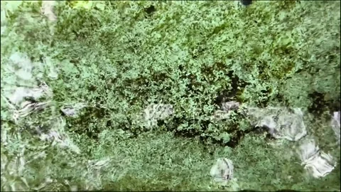 Reflection of clear water waves with mossy rocks in the background (1) Stock Footage 316719410