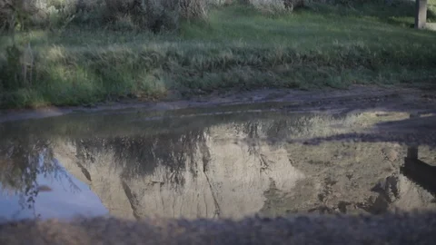 Reflection of a cliff face in a puddle in Alberta Stock Footage 90839816