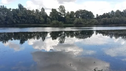 Reflection of clouds and dense bushes in the calm surface Stock Footage 322829072