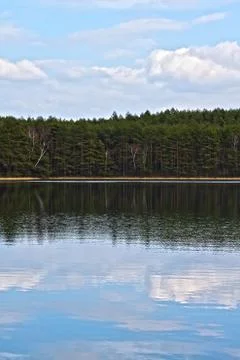 Reflection of clouds and trees in a lake Stock Photos