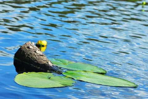 Reflection of clouds Stock Photos