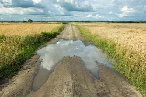 Reflection of clouds in a puddle on dirt road through fields Stock Photos