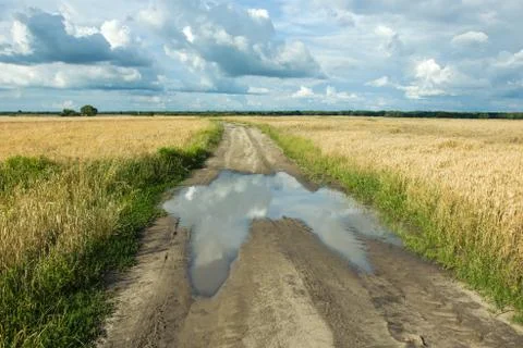 Reflection of clouds in a puddle on a dirt road Stock Photos