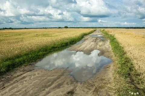 Reflection of clouds in a puddle on a dirt road Stock Photos