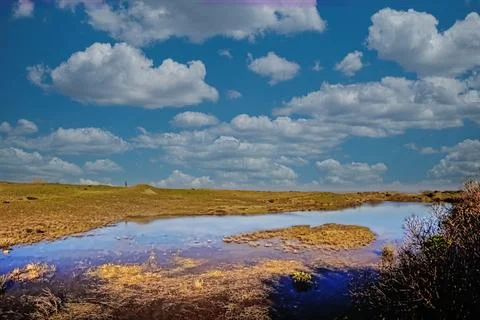 Reflection of clouds in a small lake Stock-Fotos