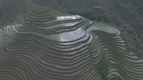 Reflection of clouds sunshine over wet rice paddy terraces in China Stock Footage 67518858