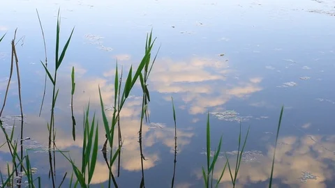 Reflection of clouds in water Stock Footage 89815734