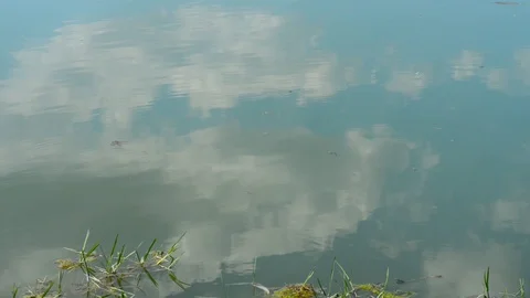 The reflection of clouds on the water Video stock 91752016
