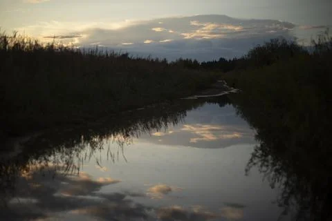 Reflection of clouds in water. Mirror puddle. Reflection of the sky in the .. Foto stock