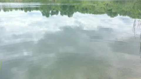 Reflection of cloudy sky on pond water surface 4K drone video Stock Footage 113886320