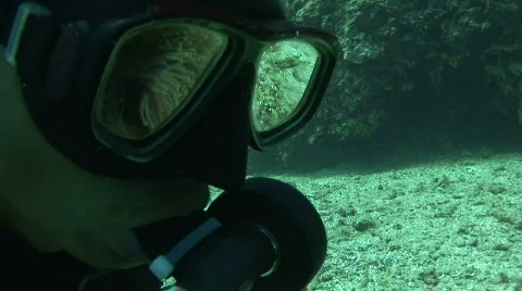 Reflection of clownfish in anemone in the dive mask of a diver Video stock 574531