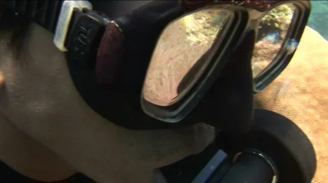 Reflection of clownfish in anemone in the dive mask of a diver Video stock 576445