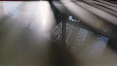 Reflection of coconut trees on ceramics, aesthetic Stock Footage 291007686