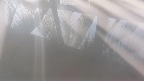 Reflection of coconut trees on ceramics, aesthetic Stock Footage 291008029