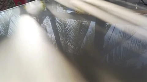 Reflection of coconut trees on ceramics, aesthetic Stock Footage 291008055