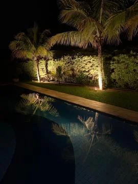 Reflection of coconut trees by the pool Stock Photos