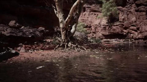 Reflection in Colorado River of Butte catching days last rays, in Grand Canyo Stock Illustration