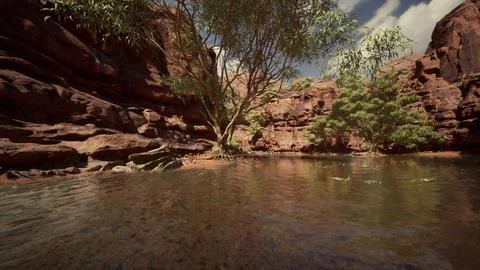 Reflection in Colorado River of Butte catching days last rays, in Grand Canyo Stock Illustration