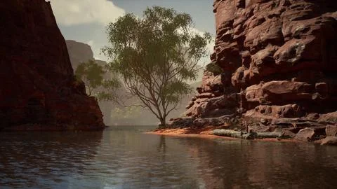 Reflection in Colorado River of Butte catching days last rays, in Grand Canyo Stock Illustration