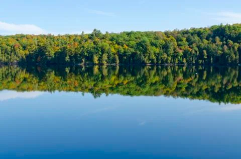 Reflection of colorful forest Stock Photos