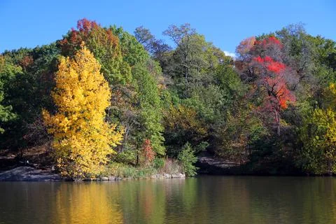 The reflection of the colors of autumn Stock Photos