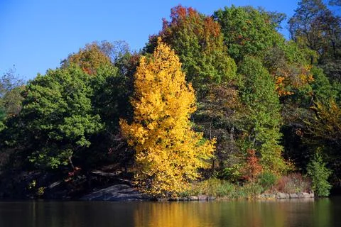 The reflection of the colors of autumn Stock Photos