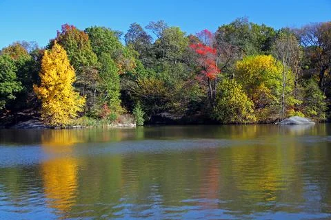 The reflection of the colors of autumn Stock Photos