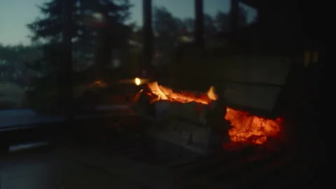 Reflection of coniferous forest in the glass of a burning fireplace in a country Stock Footage 174749312