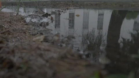 Reflection of a Courthouse in a Puddle HD Video Stockbeeldmateriaal 91256151