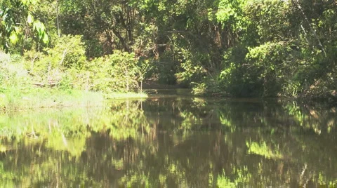 Reflection creek Stock Footage 5504032