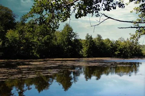 Reflection on the Creuse Stock Photos