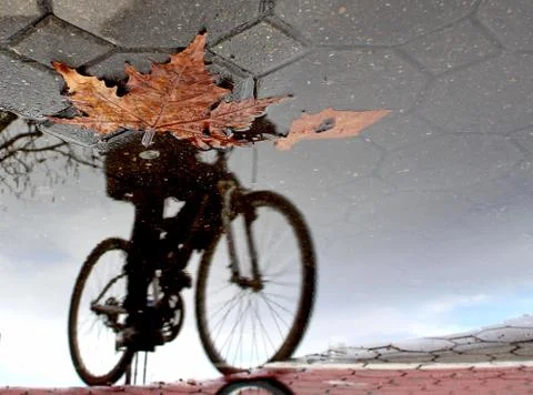 Reflection of the cyclist in autumn Stock Photos