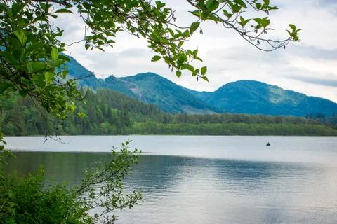 Reflection in the deer lake canada Stock Photos