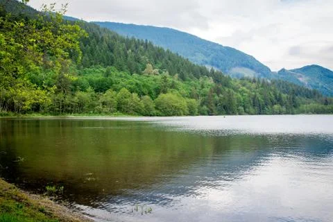 Reflection in the deer lake canada Stock Photos
