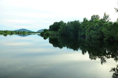 Reflection of a dense forest on the shore of a large calm lake on a warm su.. Stock Photos