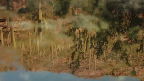 Reflection Desert Mountain 스톡 동영상 82915980