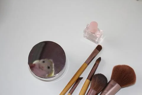 Reflection of the doll in the mirror on a white background next to the makeup Stock Photos