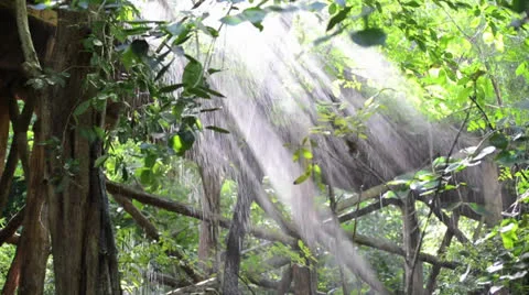 Reflection of drizzle in the sunlight Stock Footage 26328134