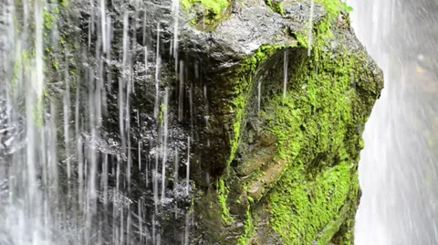 Reflection of drizzle in the sunlight Stock Footage 39629923